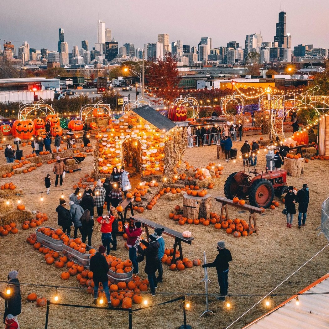 Jack's Pumpkin Pop-Up 1